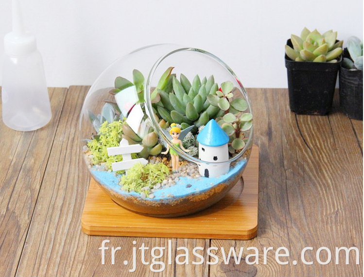 hanging terrarium